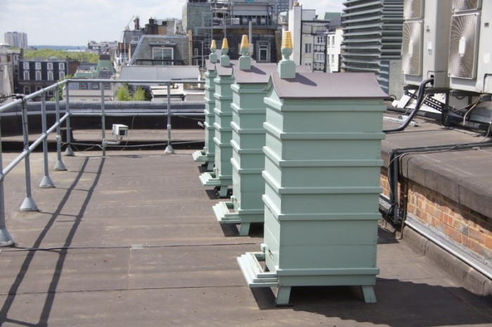 beehives-fortnums